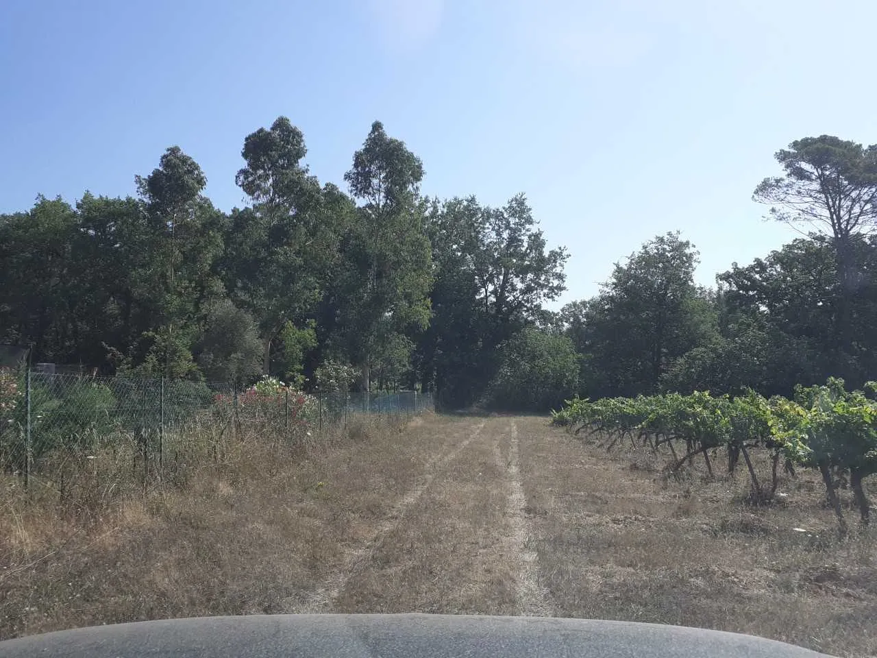 terrain à FIGANIERES (83830) — photo 2