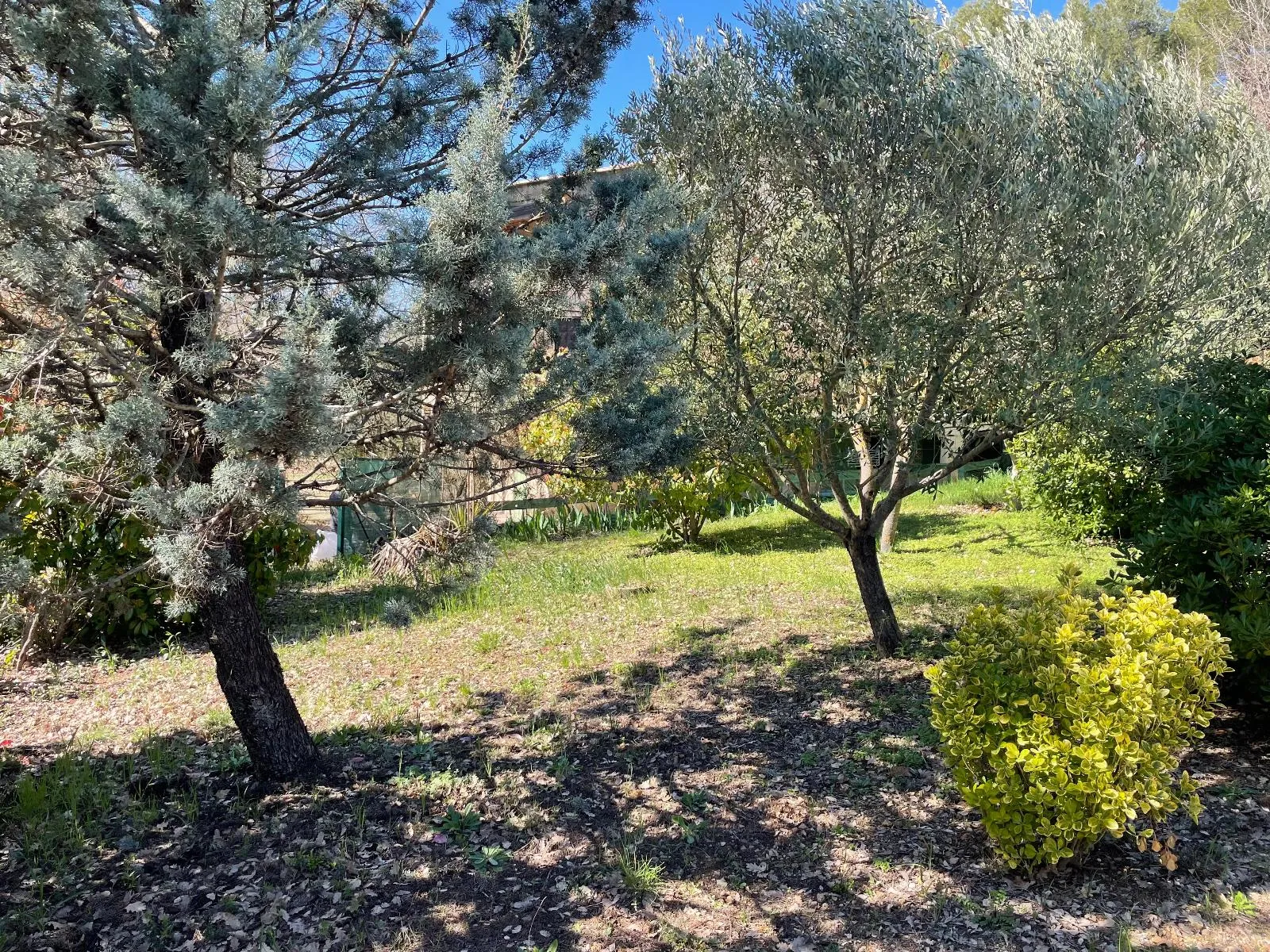 maison/villa 4 pièces à FIGANIERES (83830) — photo 4